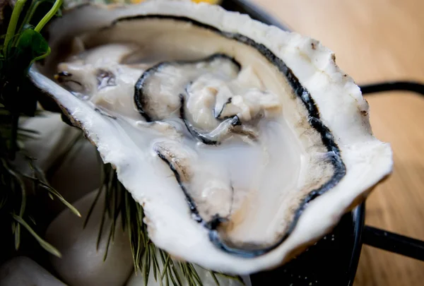 Fresh oysters on a plate with ice and flowers. Restaurant — 스톡 사진