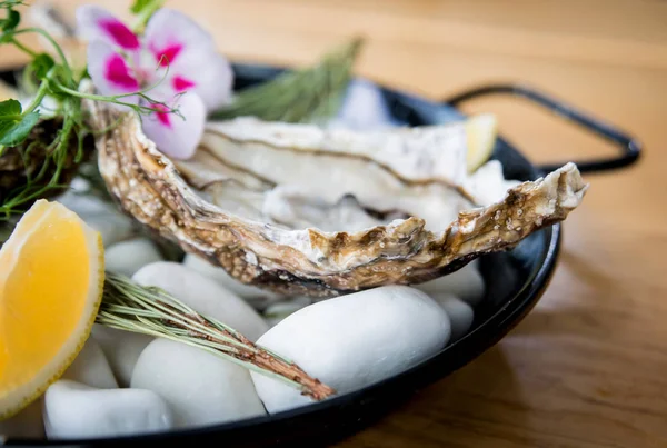 Fresh oysters on a plate with ice and flowers. Restaurant — 스톡 사진
