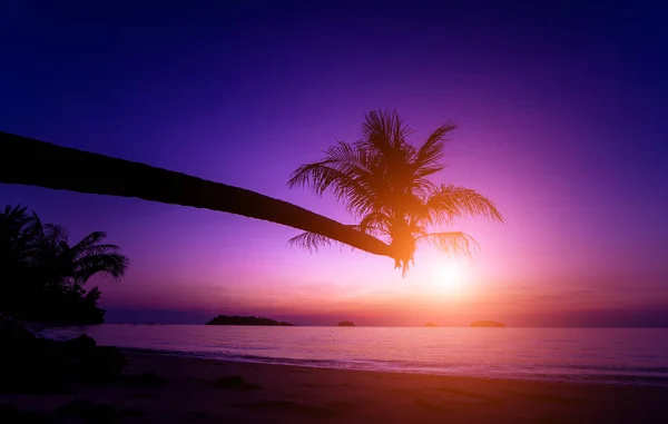 Beautiful sunset at the beach in the tropics. Sky and ocean — Stock Photo, Image