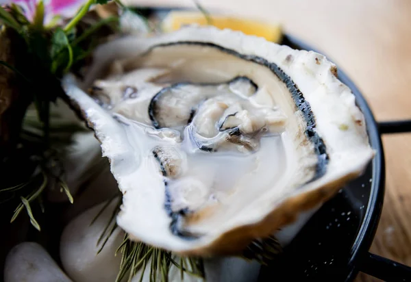 Fresh oysters on a plate with ice and flowers. Restaurant — 스톡 사진