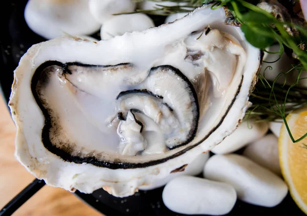 Fresh oysters on a plate with ice and flowers. Restaurant — 스톡 사진