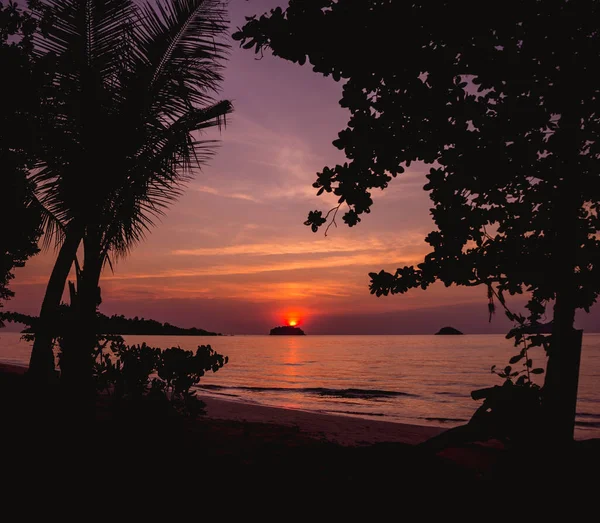 Beau coucher de soleil sur la plage sous les tropiques. Ciel et océan — Photo