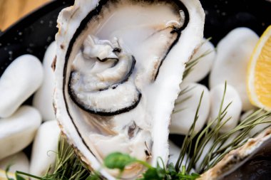 Buzlu ve çiçekli taze istiridye. Restoran