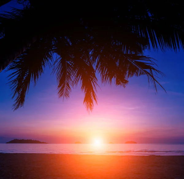 Beau coucher de soleil sur la plage sous les tropiques. Ciel et océan — Photo