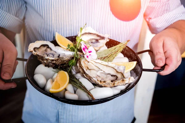 Fresh oysters in chefs hands on a plate with ice and flowers. Restaurant — 스톡 사진
