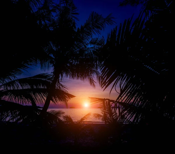Belo pôr do sol na praia nos trópicos. Céu e oceano — Fotografia de Stock
