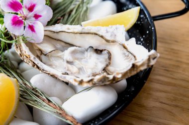 Buzlu ve çiçekli taze istiridye. Restoran