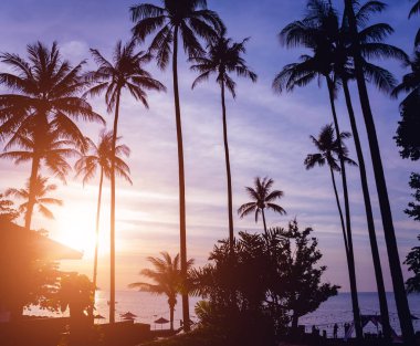 Tropiklerdeki sahilde güzel bir gün batımı. Gökyüzü ve okyanus