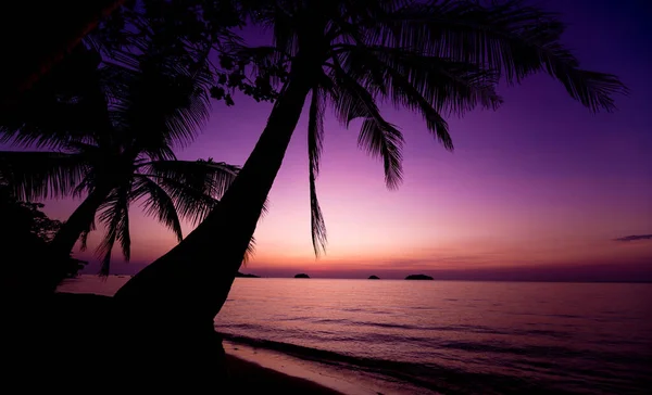 Beautiful sunset at the beach in the tropics. Sky and ocean — Stock Photo, Image