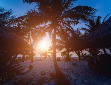 Tropiklerdeki sahilde güzel bir gün batımı. Gökyüzü ve okyanus