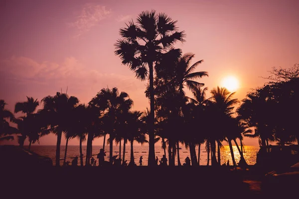 Krásný západ slunce na pláži v tropech. Obloha a oceán — Stock fotografie