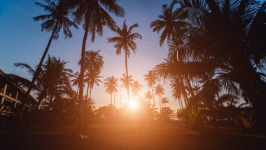 Tropiklerdeki sahilde güzel bir gün batımı. Gökyüzü ve okyanus