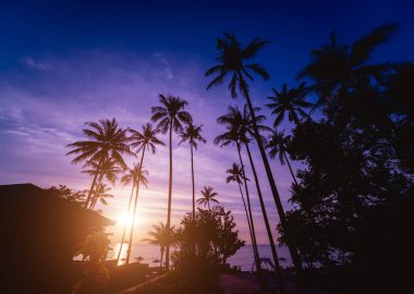 Tropiklerdeki sahilde güzel bir gün batımı. Gökyüzü ve okyanus