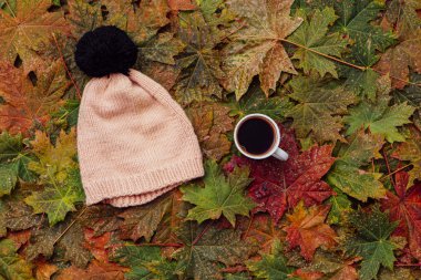 Şapka ve bir fincan kahve üzerinde akçaağaç yaprakları arka plan.