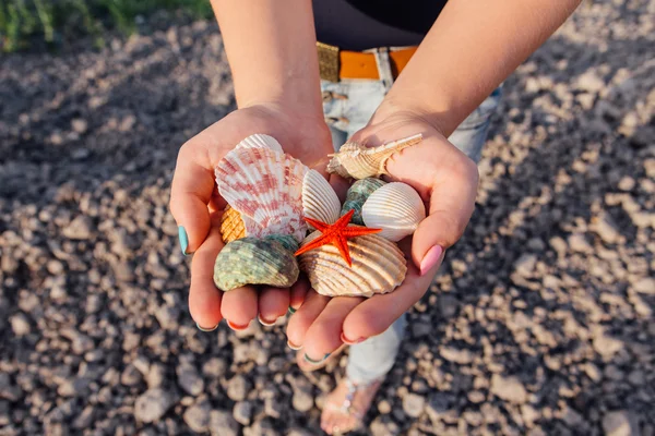 Woman holding shells in hands — Stock Photo, Image