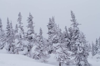 Soğuk ve karlı kış manzarası.