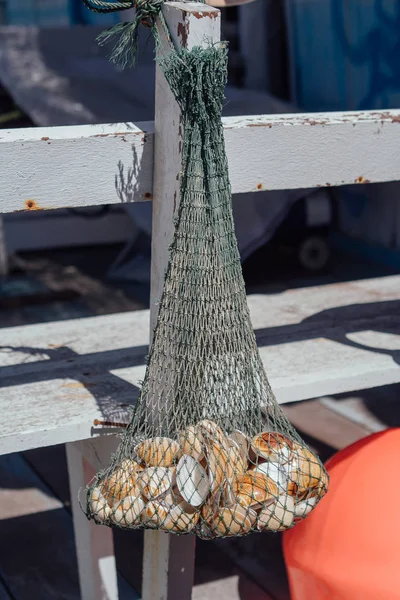 Red de pesca y conchas marinas —  Fotos de Stock