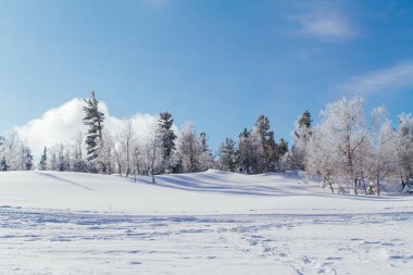 Güzel kış manzarası