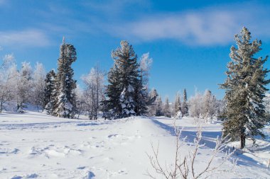 Güzel kış manzarası