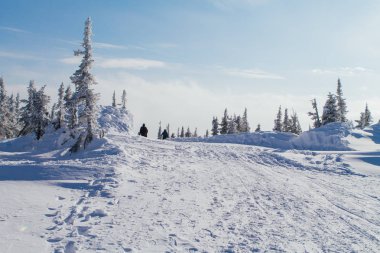 Ağaçlı güzel kış manzarası