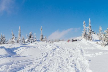 Ağaçlı güzel kış manzarası