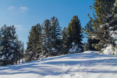 Güzel kış manzarası