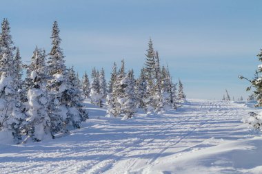 Güzel kış manzarası