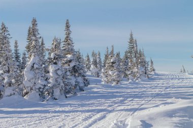 Güzel kış manzarası