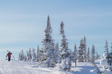 Dağ Kayak tutan Kayak elbiseli adam