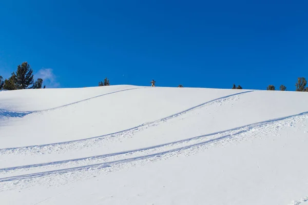 Snowboarder lovaglás friss hó. — Stock Fotó