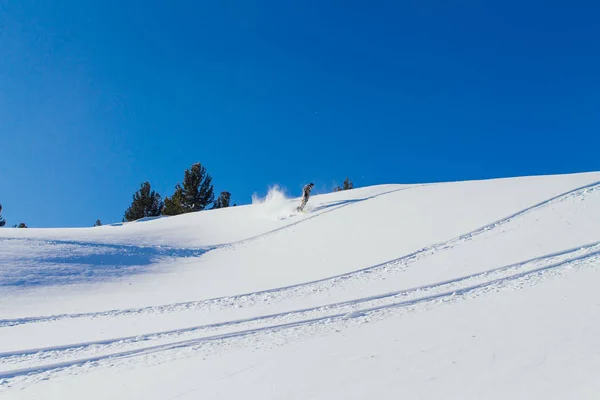 Snowboarder fährt Neuschnee. — Stockfoto