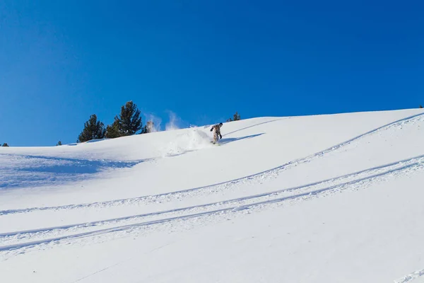 Snowboardista jezdecké čerstvý sníh. — Stock fotografie