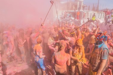 Bir grup genç insan renkli holi toz atma.