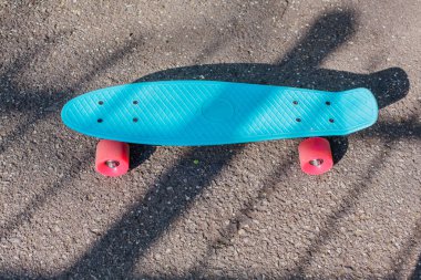 Pembe tekerlekli mavi penny yönetim kurulu.