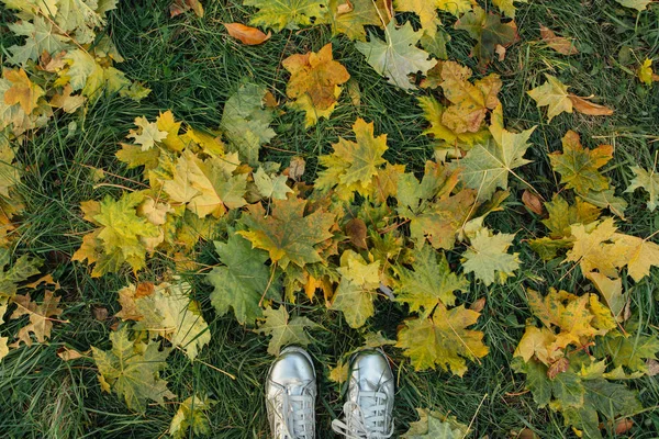 Két láb, lépés a száraz levelek. — Stock Fotó