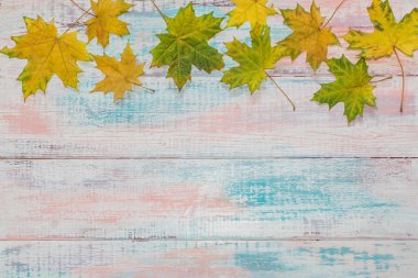 Antika ahşap arka plan güzel akçaağaç yaprakları