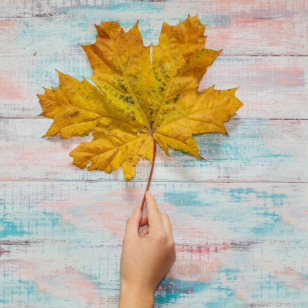 Rękę z duży klon liść na podłoże drewniane — Zdjęcie stockowe