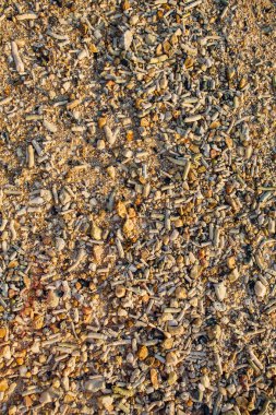 Deniz kabuğu ve taş parçaları doku