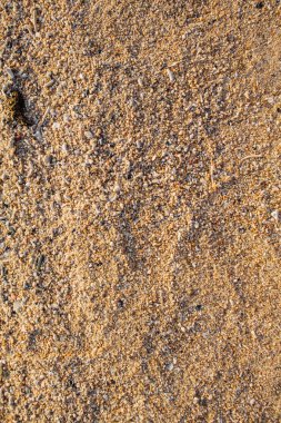 Deniz kabuğu ve taş parçaları doku