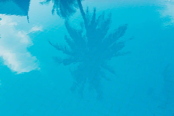 Palmeiras reflexão sobre a superfície da água da piscina — Fotografia de Stock