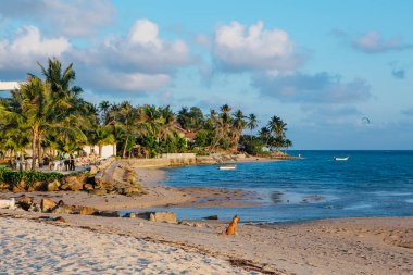 kumlu plajı ile tropik ada