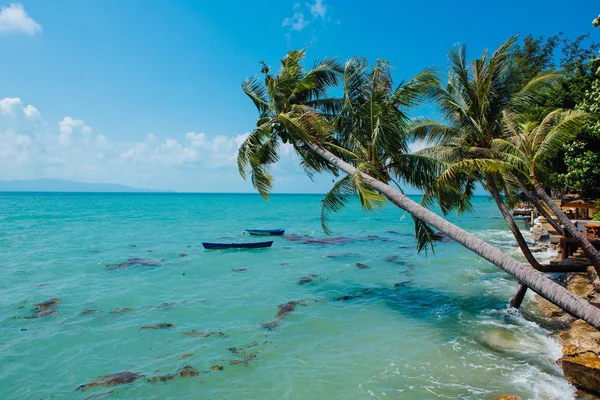 Scheve palmbomen over de zee en twee boten — Stockfoto