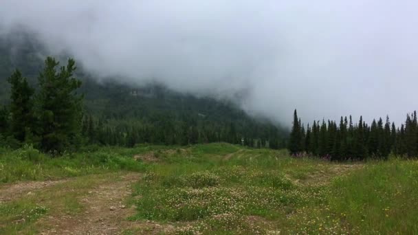 Pohybující se těžký déšť mrak v horském lese — Stock video