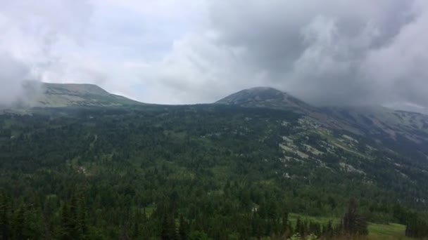 Flyttar kraftigt regnmoln i en fjällskog — Stockvideo