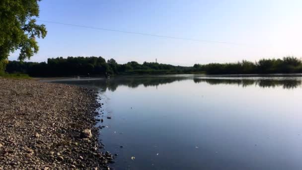 Calm river shore with blue sky. — Stock Video