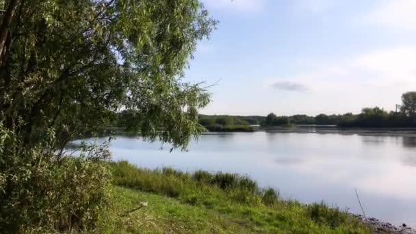 Se déplacer sur la brousse de vent près de la rivière 