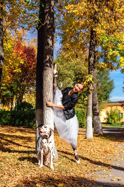 Ballerina with Dalmatian dog in the Park. Woman ballerina in a white ballet skirt and black leather jacket doing splits in pointe shoes in autumn park with her spotty dalmatian dog.