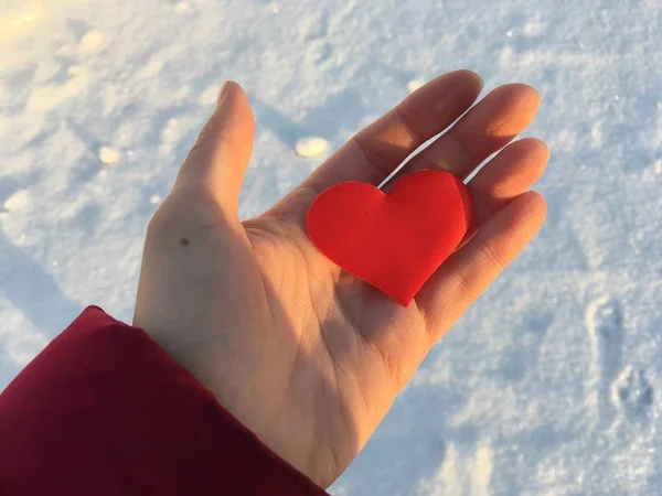 Red heart in hand on the background of glittering snow. Vilentine\'s day theme.