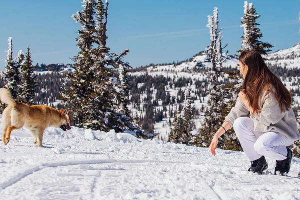 Retrato de una joven hermosa morena con ojos azules y pecas en la cara en invierno nevado paisaje de montaña. Hermosa chica en el invierno al aire libre . — Foto de Stock