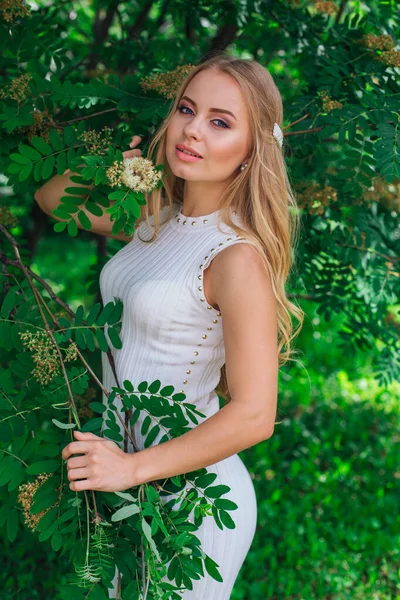 Retrato de uma mulher loira encantadora vestindo belo vestido branco em pé ao lado de Rowan árvore . — Fotografia de Stock